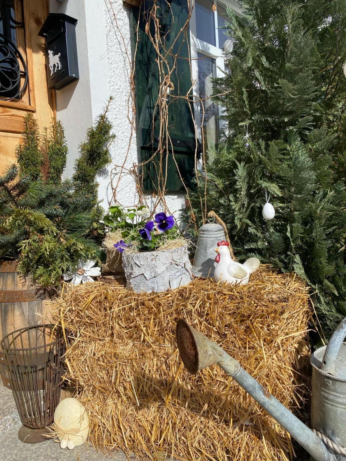 Apartamenty Sudeckie Nad Zalewem II Sosnówka Dış mekan fotoğraf
